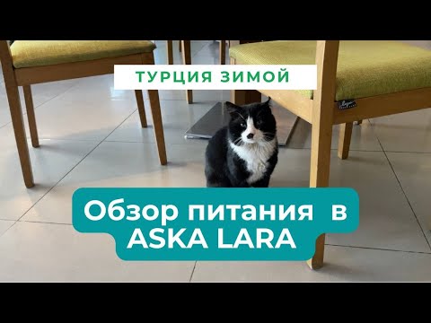 Видео: Зимняя концепция в Турции | Питание в Aska Lara Resort & Spa