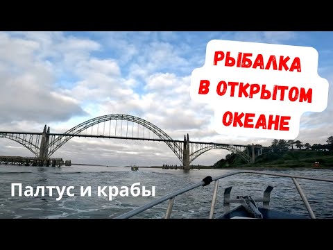Видео: РЫБАЛКА В ОТКРЫТОМ ОКЕАНЕ! КРАЙ АМЕРИКИ. ЗАПАДНОЕ ПОБЕРЕЖЬЕ США!