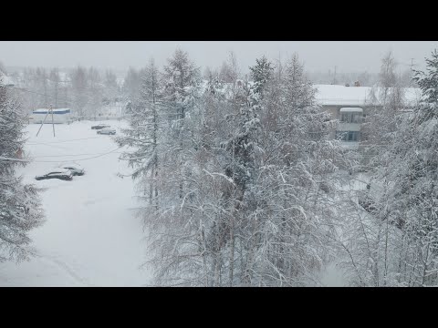 Видео: 🍃Ходунки? или трость? / Пару слов о Диме / @СВЕТИКМОЙСВЕТЛАНА-д8х 🍂🍃