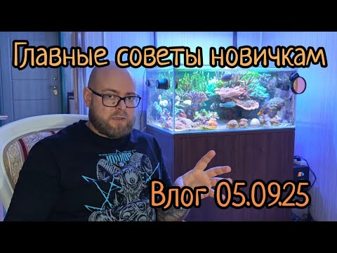 Видео: Влог 05.09.25 советы новичкам