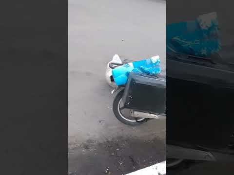 Видео: Заезд на 4500 км на мопеде альфа одним махом.