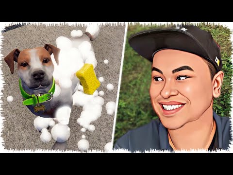 Видео: Бизнесмен Алик Итті шомылдырды | Меннен мықты шомылады екен!