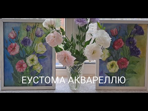 Видео: Еустома аквареллю