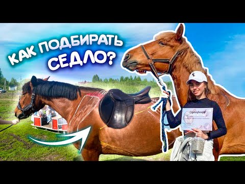 Видео: Как выбрать СЕДЛО ДЛЯ ЛОШАДИ? Влог с семинара