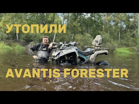 Видео: УТОПИЛИ AVANTIS FORESTER 200. ДВУХСОТКА БУКСИРУЕТ 3 КВАДРА. ЖЕСТКАЯ ПОКАТУШКА.