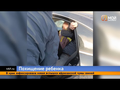 Видео: В Красноярском крае с территории одной из школ похитили ребенка