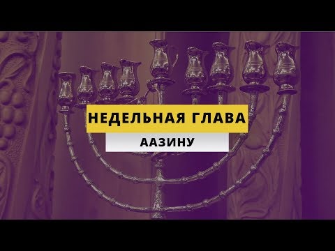 Видео: Недельная глава "Аазину"