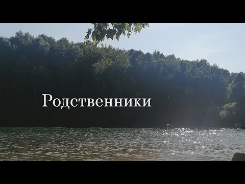 Видео: История. Родственники