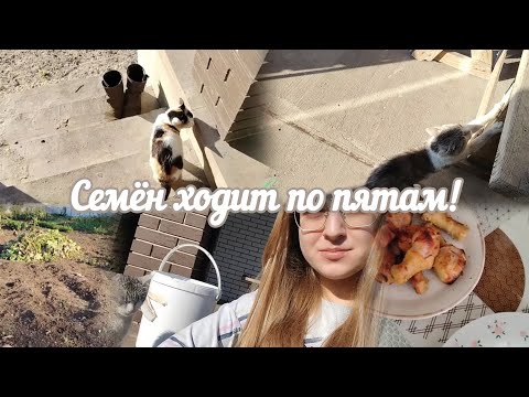 Видео: VLOG Семён ходит по пятам!👣
