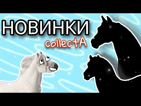 Видео: РАСПАКОВКА COLLECTA