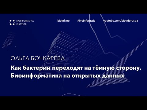 Видео: Биоинформатика на открытых данных | Ольга Бочкарёва