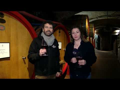 Видео: Репортажа за Македонската Дијаспора во Пиемонте - Италија