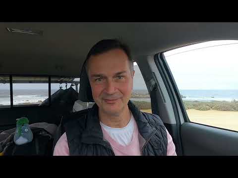 Видео: Цветы в городе