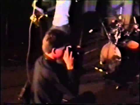 Видео: "Соломенные еноты" в "А-клубе"