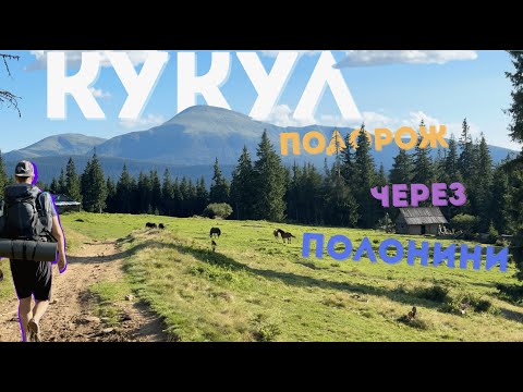 Видео: Гора Кукул — легкий і неймовірно красивий маршрут у Карпатах!