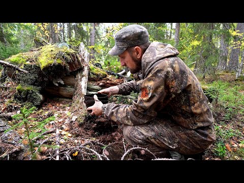 Видео: БРОСИЛ СЛОМАННЫЙ ВЕЗДЕХОД В БОЛОТЕ. ВЫБИРАЮСЬ НОЧЬЮ! НАХОДКИ НА РАЗВАЛИНАХ ИЗБЫ.