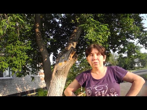 Видео: Жесткие переговоры с бабушками (2013) Версия без монтажа