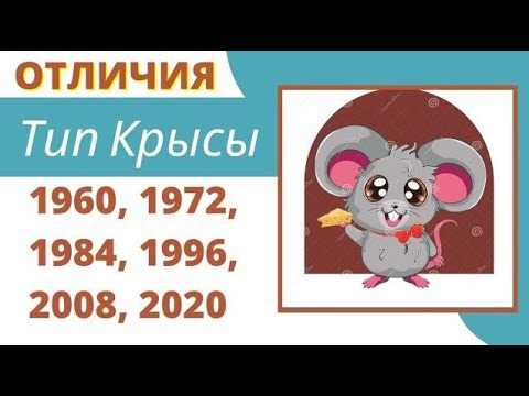 Видео: К какому типу / году Крысы Вы относитесь?  Характеристика по китайскому гороскопу.