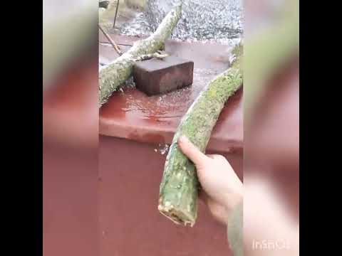 Видео: Щепорез с карданным приводом, устраняю косякы.