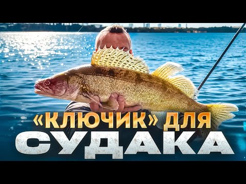 Видео: Який Секрет Ще Треба Знати, Щоб Ловити Судака На Затоках Дніпра!?