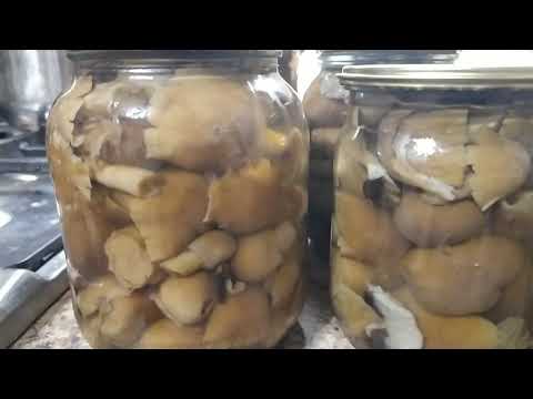 Видео: Маринованные грибы " КОЛПАК КОЛЬЧАТЫЙ"