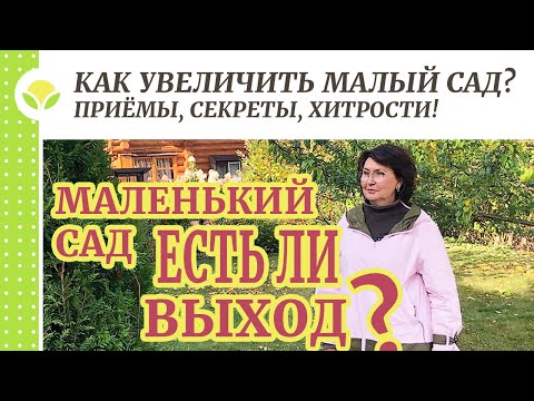 Видео: Как увеличить малый сад? Приёмы, секреты, хитрости!