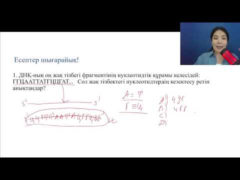 Видео: ДНҚ құрылысына есептер шығару | ТҰРДАЛЫ АЯЖАН | ҰБТ есептерін үйрену