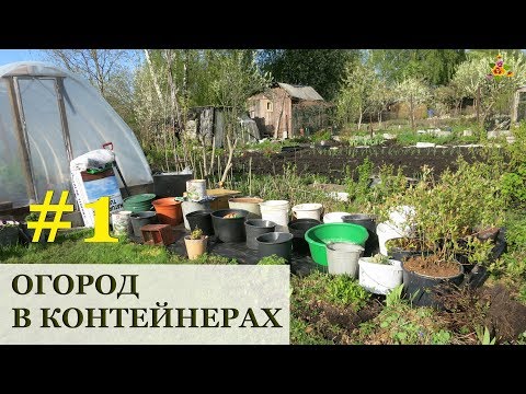 Видео: Какие контейнеры и грунт использовать для огорода / Огород в контейнерах #1