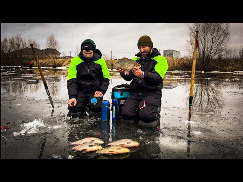 Видео: Карасі Мамонти рвуть мормишки і затягують в лунку