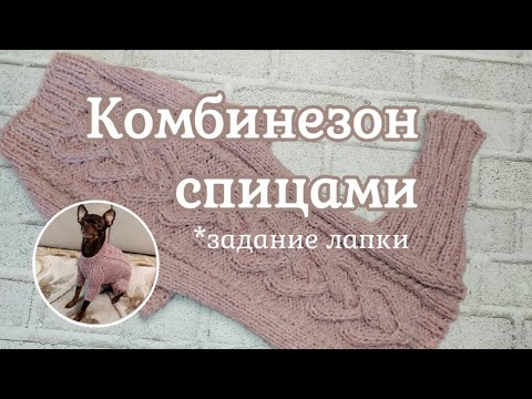 Видео: Комбинезон для собаки, вязание спицами