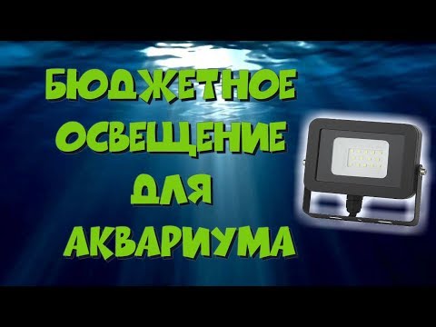 Видео: Бюджетное освещение для травника