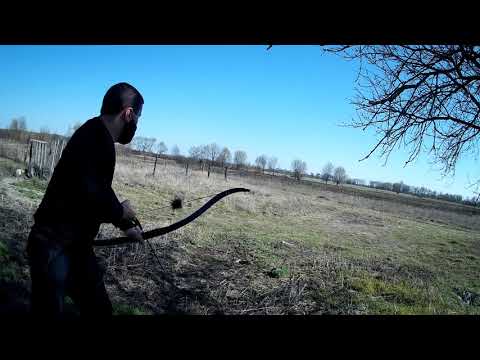 Видео: Насколько далеко выстрелит мощный рекурсивный лук