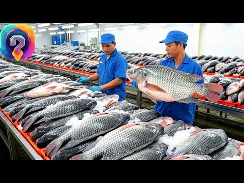 Видео: Как  МИЛЛИОНЫ тилапий превращают в пищу на крупнейших фабриках Китая.