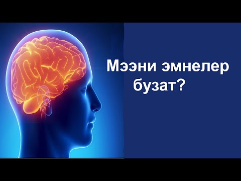 Видео: Мээни талкалаган жана мээге пайдалуу азыктар. Мээнин иштешин жакшыртуу