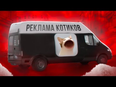Видео: РЕКЛАМА НА😸КОТИКОВ В ЦЕНТРЕ МОСКВЫ