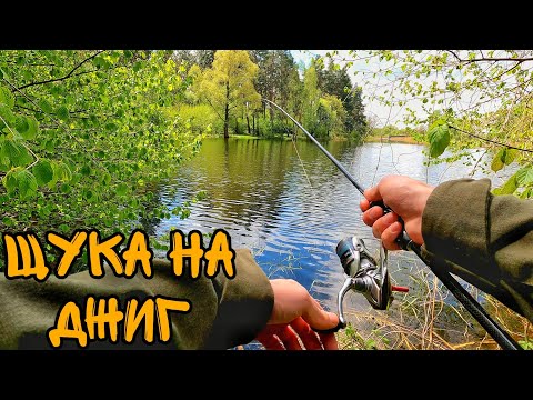 Видео: ВЕСНОЮ ЩУКИ ШАЛЕНІЮТЬ!! Ловля щуки на джиг!