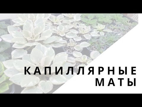 Видео: Как подготовить капиллярные маты к использовани. Фиалки на матах ч1