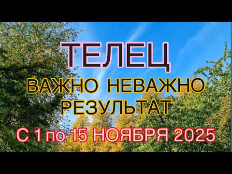 Видео: ТЕЛЕЦ -  С 01  ПО 15  НОЯБРЯ  2025 | ВАЖНО! | НЕ ВАЖНО! | РЕЗУЛЬТАТ | ПРОГНОЗ ОТ NATALLIA  MARKOWSKA