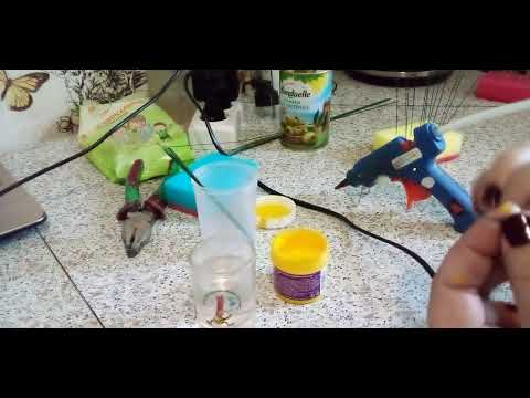 Видео: Тычинки на лилии.