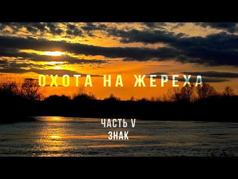 Видео: ОХОТА НА ЖЕРЕХА | ЧАСТЬ V ЗНАК  (ФИНАЛ КВЕСТА)