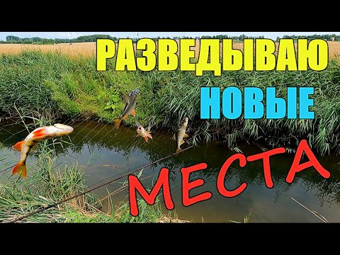 Видео: Поехал в разведку по новым местам. Рыбалка на экраны.