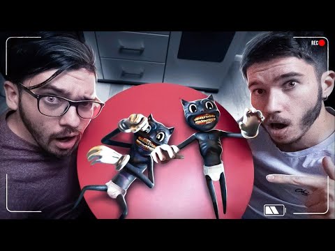 Видео: НИКОГДА НЕ ДЕЛАЙ ГОМУНКУЛА ИЗ ДНК CARTOON CAT  ! *ОН ЖИВОЙ КАРТУН КЕТ* Потусторонние