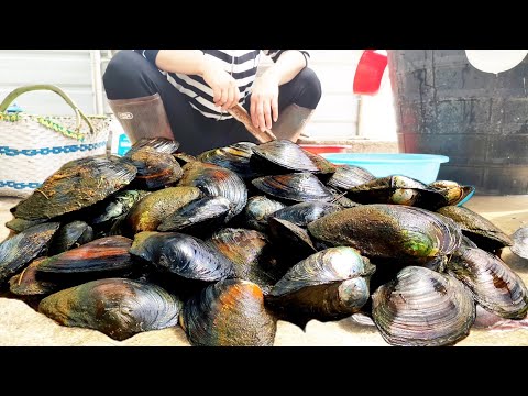 Видео: 1000 жемчужных устриц! Пресноводные жемчужные устрицы, выращиваемые в течение 11 лет. открыть их все