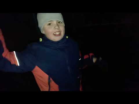 Видео: Вечерние прятки! | День 15 | #3