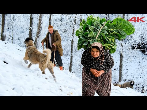 Видео: Мучительная жизнь пожилой пары в деревне | Документальный