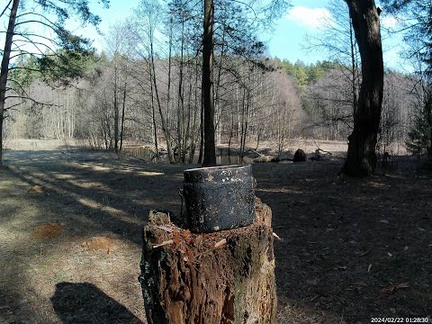 Видео: Велопрогулка на Вячу