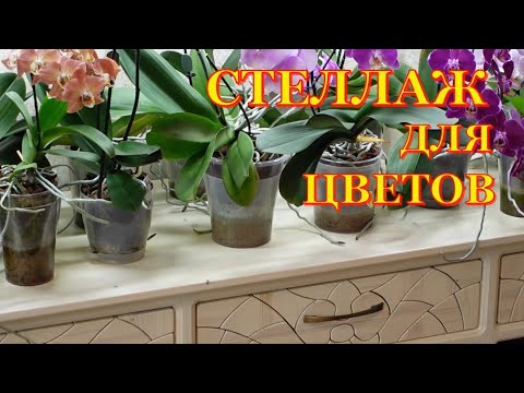 Видео: Мебель из дерева  Стеллаж  Вторая часть