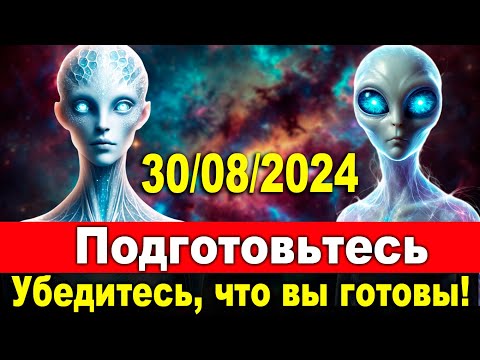 Видео: 【2024/8/30】Готовьтесь: первая волна уже здесь. Несомненно, воздействие будет ощутимо.