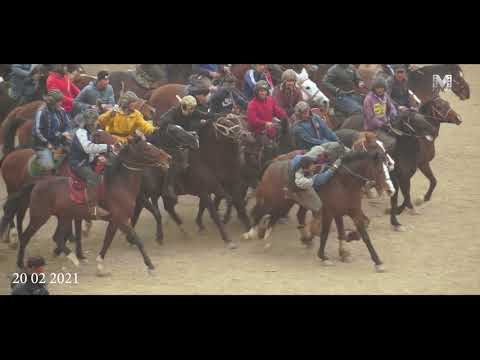 Видео: Бузкаши Калон Дар Мачитон 20 02 2021 Илхом Муродов Суруди Човандоз  2021