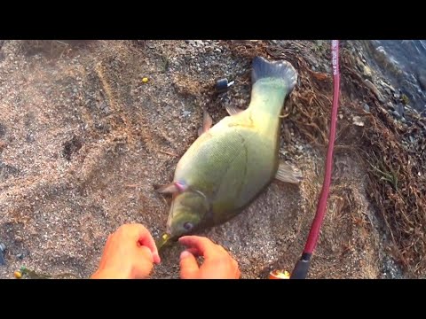 Видео: Таких Монстров я ещё не ловил! Рыбалка на ЛИНЯ с ночевкой в красивейших местах.